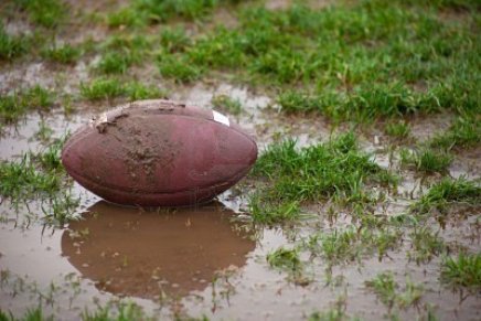 6265530-a-close-up-of-a-football-sitting-in-muddy-water-and-grass